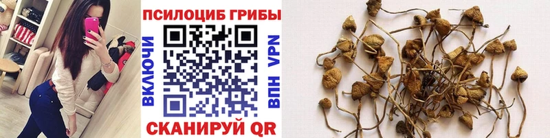 Псилоцибиновые грибы GOLDEN TEACHER  гидра как зайти  Нюрба 